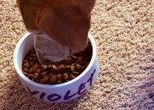 Load image into Gallery viewer, Pet Food / Water Bowl