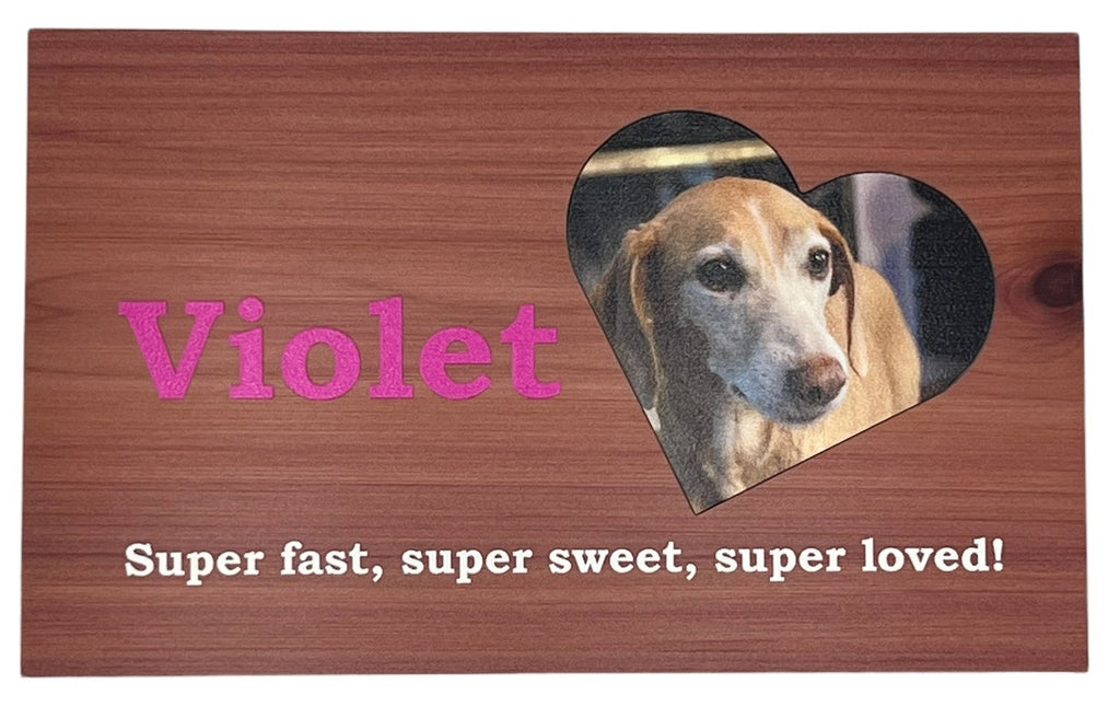 Custom Photo Pet Urn - Medium