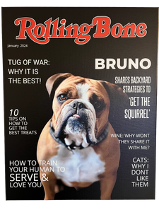 Rolling Bone Magazine Cover 16x20 Canvas