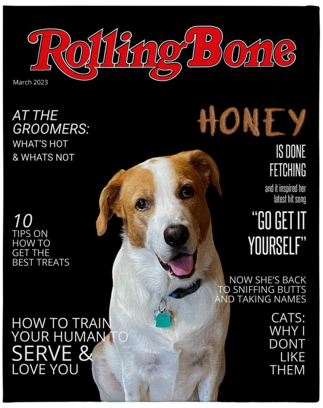Rolling Bone Magazine Cover 16x20 Canvas – HSTORM Printing