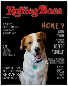 Rolling Bone Magazine Cover 16x20 Canvas
