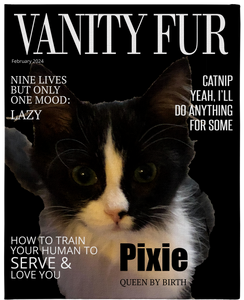 Vanity Fur Magazine Cover 16x20 Canvas