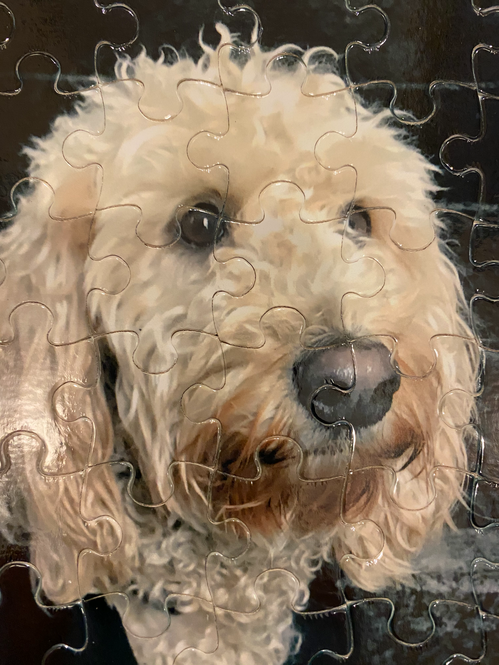 80 Piece Custom Printed Jigsaw Puzzle