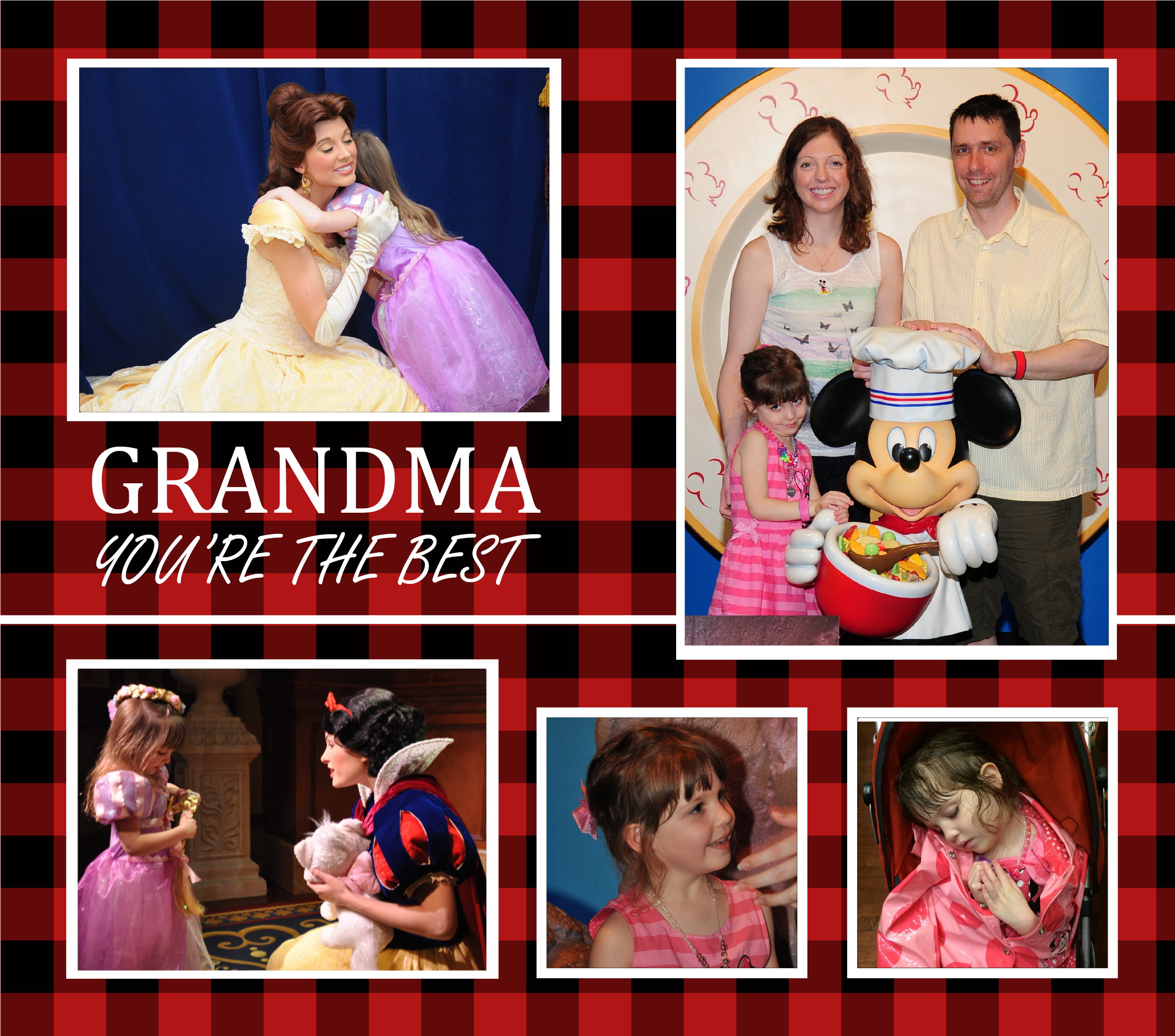 GRANDMA YOU'RE THE BEST Skinny 20oz Stainless Steel Tumbler