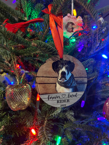 Memorial Pet Photo Ornament Double Sided
