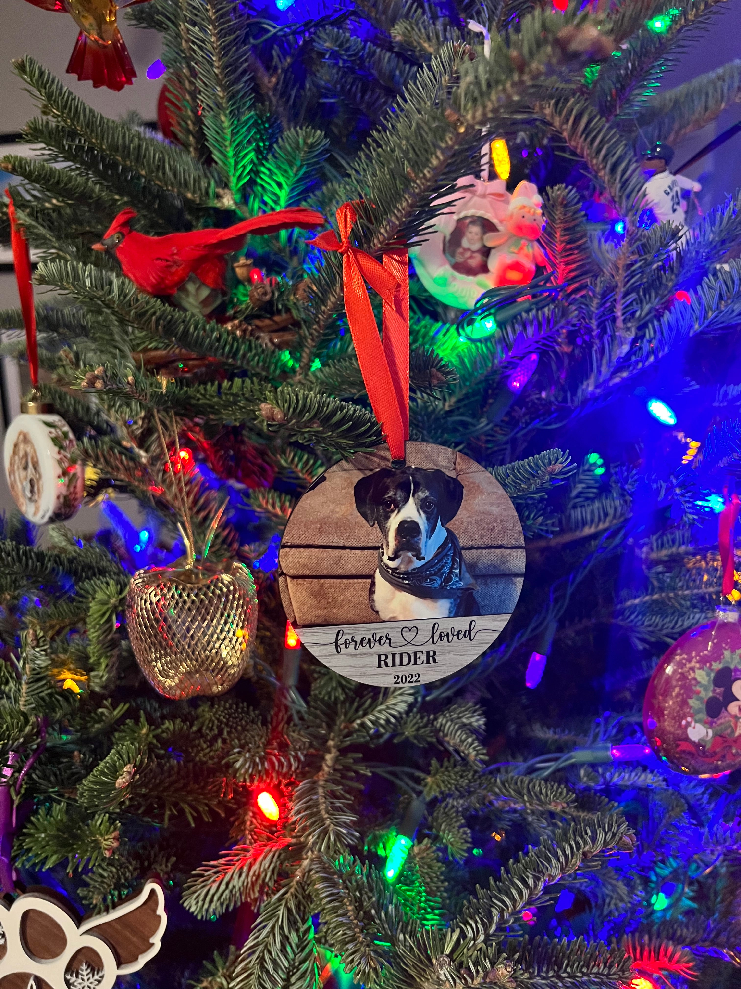 Memorial Pet Photo Ornament Double Sided