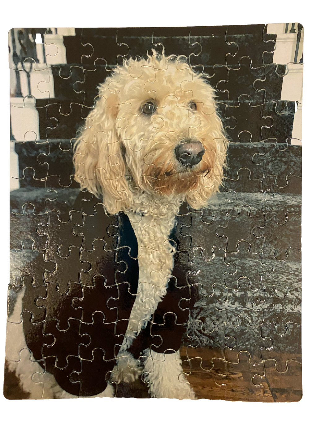80 Piece Custom Printed Jigsaw Puzzle