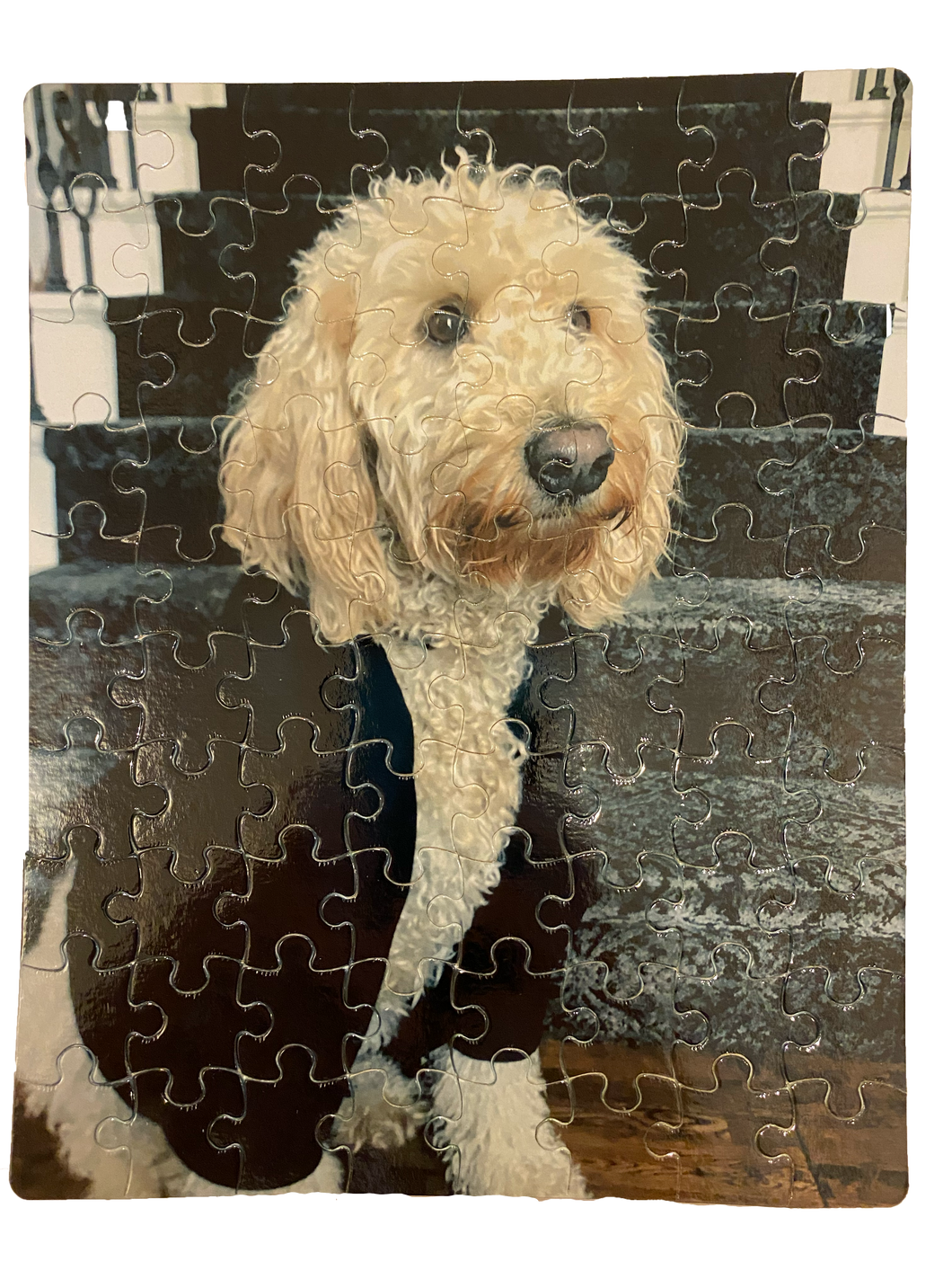 80 Piece Custom Printed Jigsaw Puzzle