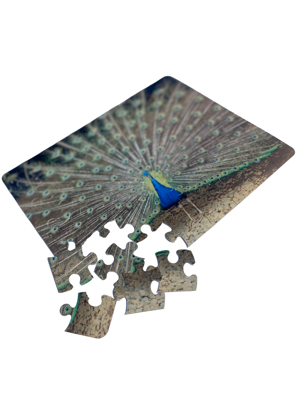 48 Piece Custom Puzzle