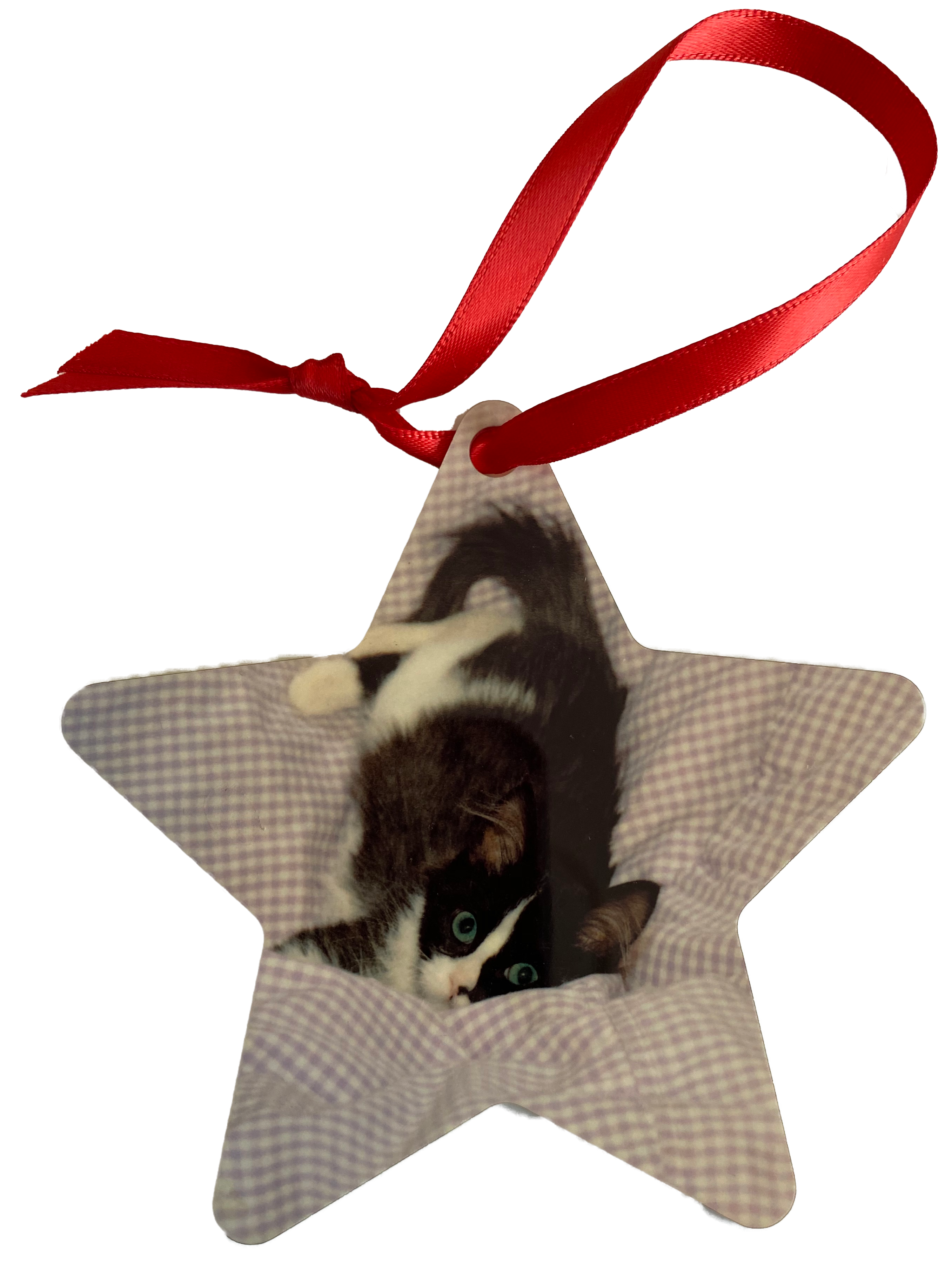 Star Keepsake 2 Sided Ornament