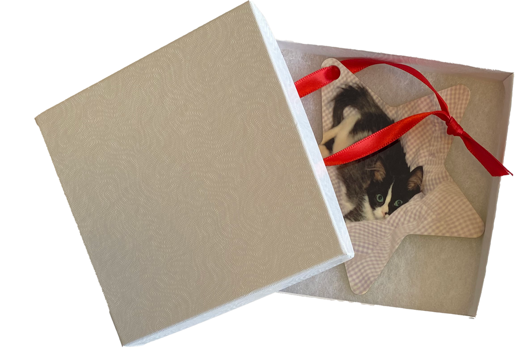 Star Keepsake 2 Sided Ornament